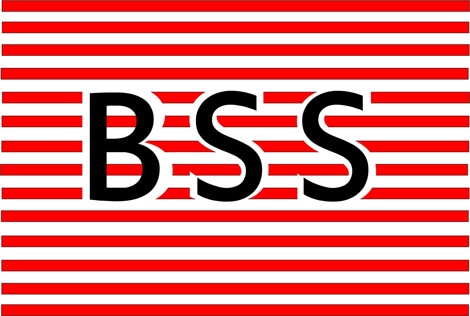 PT Banga Sarana Surya